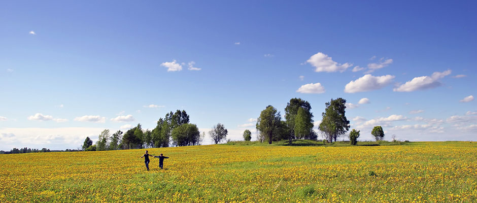 Green technology and clean energy solutions—Prop 39 ready